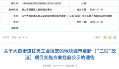 佛山大良红岗工业区释出