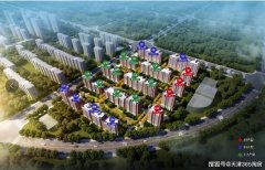 河东楼市的价格战：开发